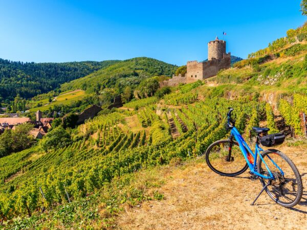 Tourisme et activit&eacute;s incontournables pr&egrave;s de la Maison Hassenforder &agrave; Kaysersberg &agrave; c&ocirc;t&eacute; de Colmar Erstein 0