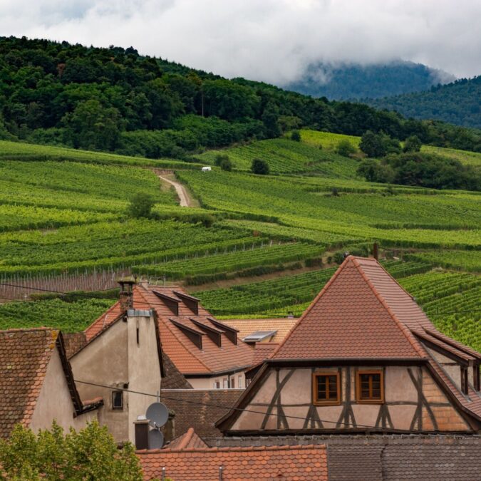Maison Hassenforder, votre partenaire local Colmar
