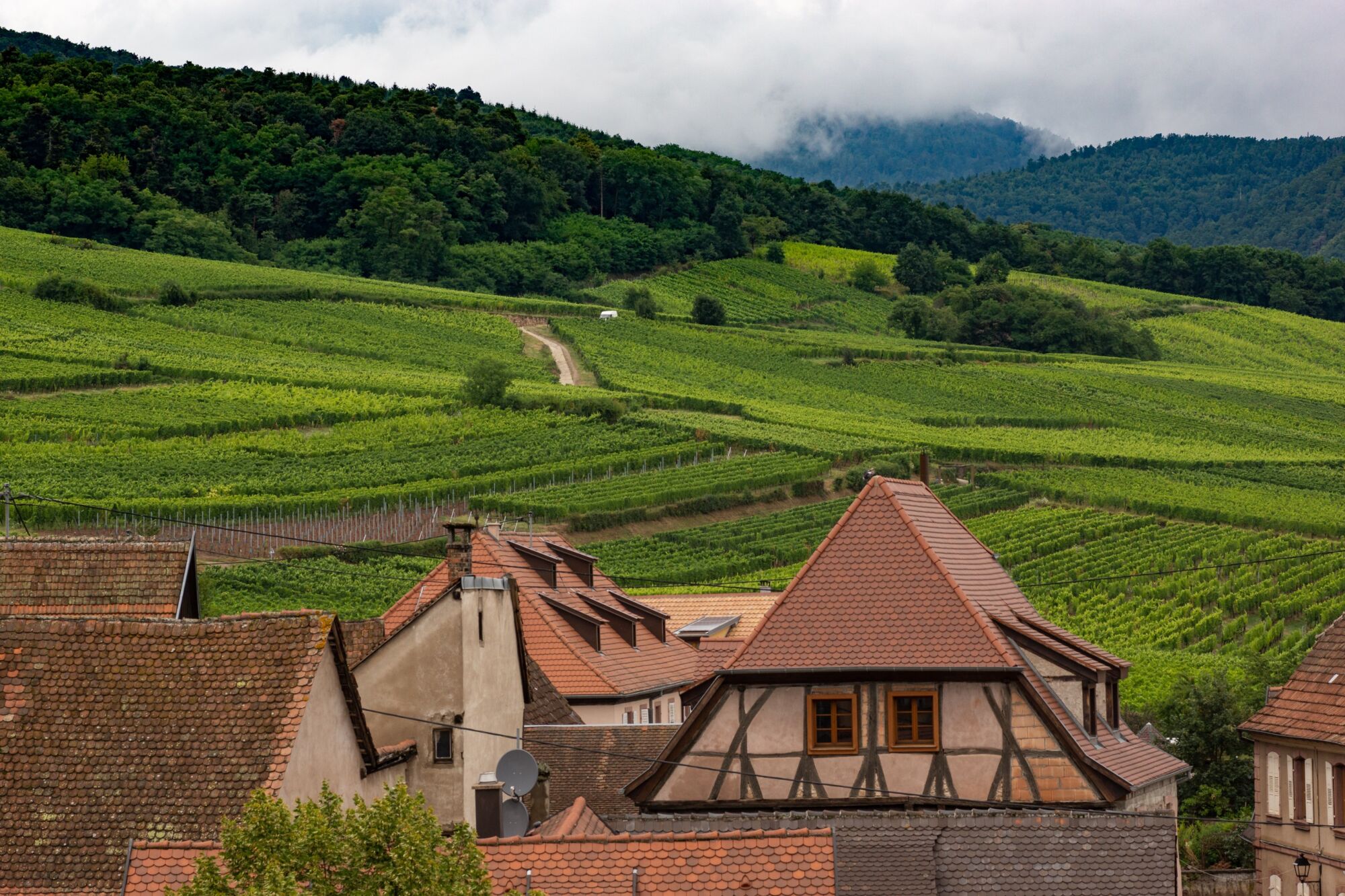 PEXELS MATHEUS GUIMARAES 1270426 | Maison Hassenforder Gîtes Saint-Dié-des-Vosges